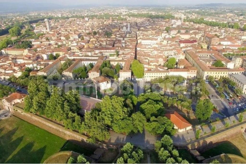 Apartamento 50 Metri Duomo Di Lucca Self Check-In E Wi-Fi Exterior foto
